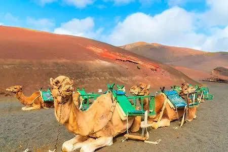 The Colors House, 639 Private